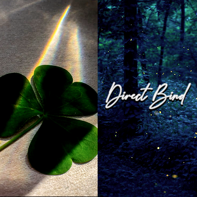 Leprechaun Luck Spell, Spirit Keeping, Direct Bind
