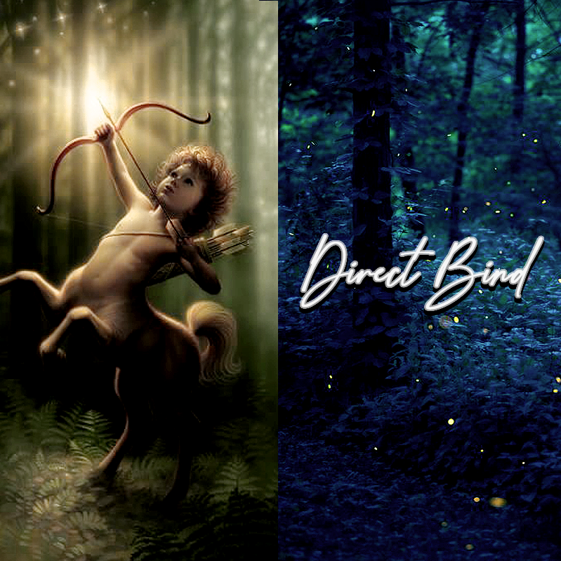 Ancient Young Male Centaur, Spirit Companion, Direct Bind