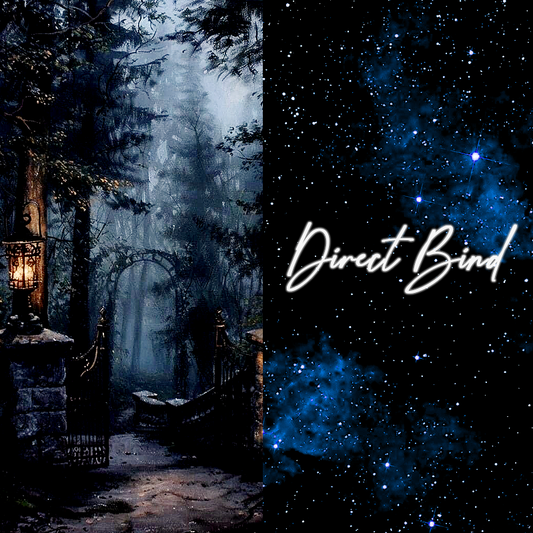 Ancient Moonlit Fae Sanctuary, Astral Portal, Direct Bind